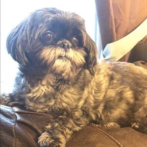 Meet your Posher, Pam